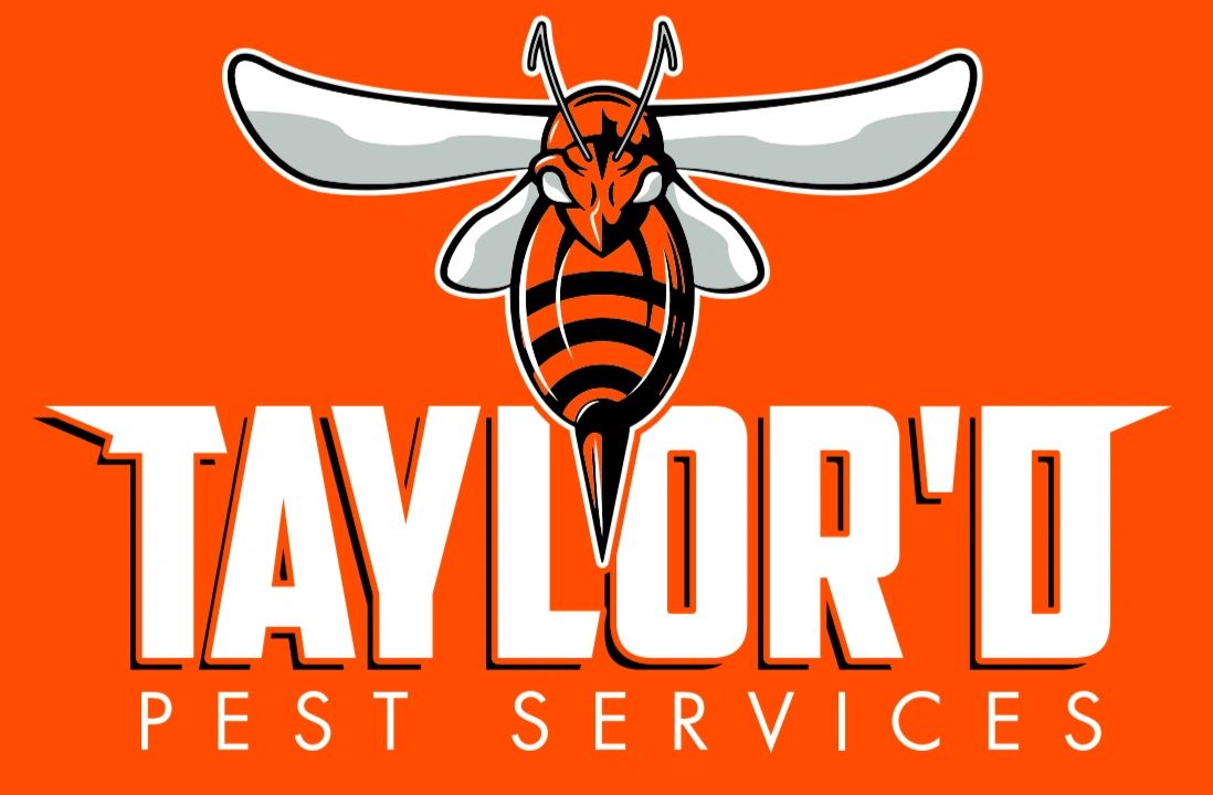 Pest Control, Bed Bugs Jacksonville, St. Augustine, FL TAYLOR'D